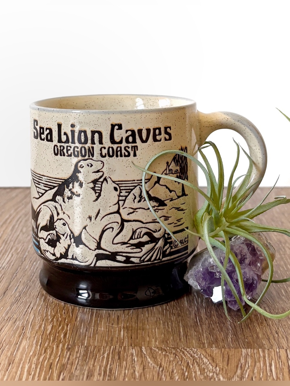 Vintage Sea Lion Caves Oregon Embossed Ceramic Mug